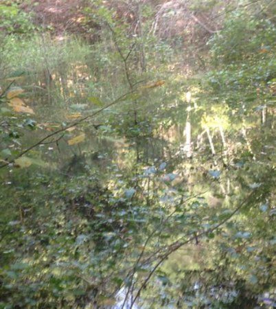 Sewell Pond Conservation Area